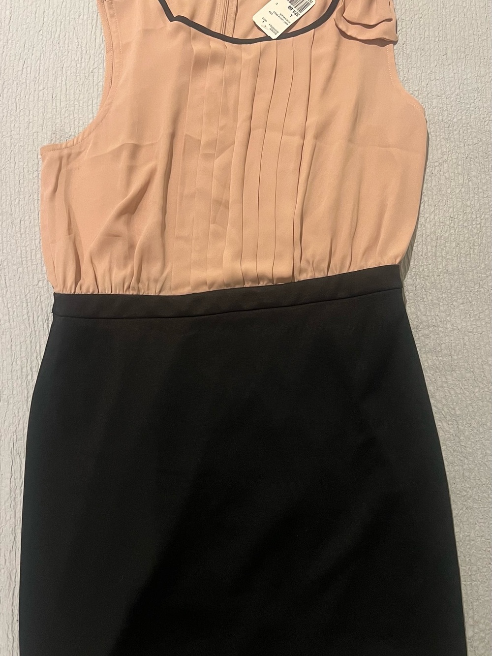 Forever 21 Blush Pink and Black Two-Tone Pleated Bodice Dress